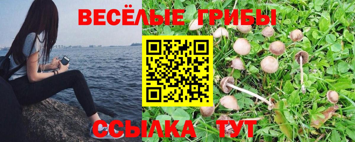Псилоцибиновые грибы GOLDEN TEACHER Краснотурьинск
