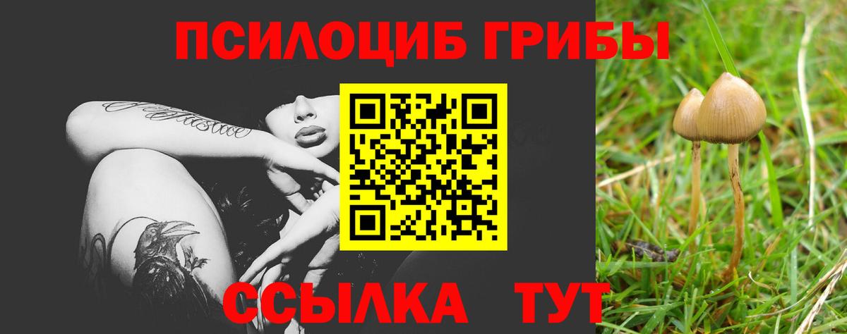 Краснотурьинск  Псилоцибиновые грибы Psilocybe  Вход с VPN 